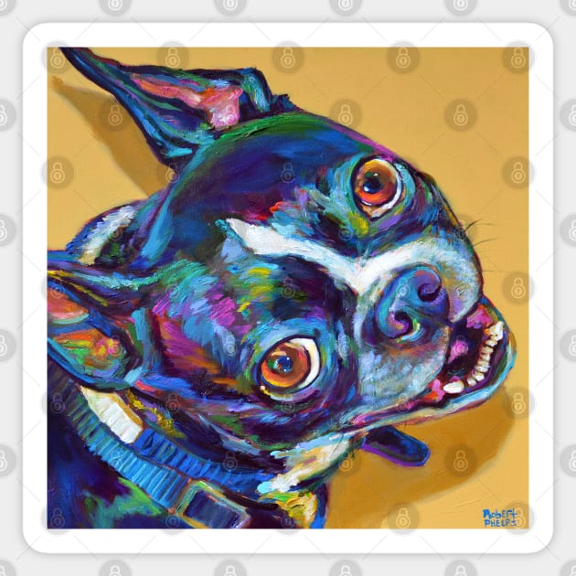 Daisy the Boston Terrier by Robert Phelps Sticker by RobertPhelpsArt